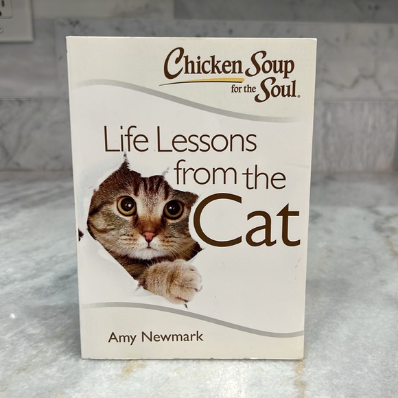 Cat Toy and Life Lessons from the Cat Book Bundle - Picture 2 of 6